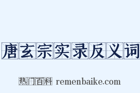 唐玄宗实录反义词是什么意思的图片